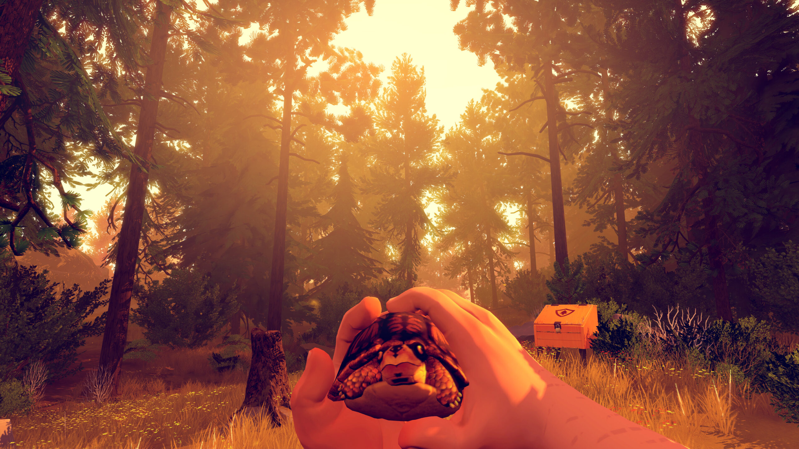 Background
